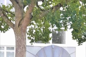 Maintal-Dörnigheim: Sehr gepflegte 2 Zimmer EG-Wohnung mit Balkon und TG-Platz!